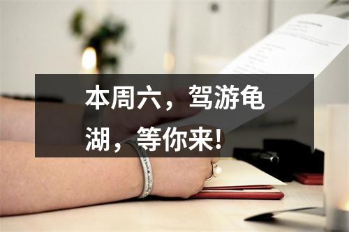 本周六，驾游龟湖，等你来!