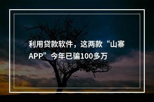 利用贷款软件，这两款“山寨APP”今年已骗100多万