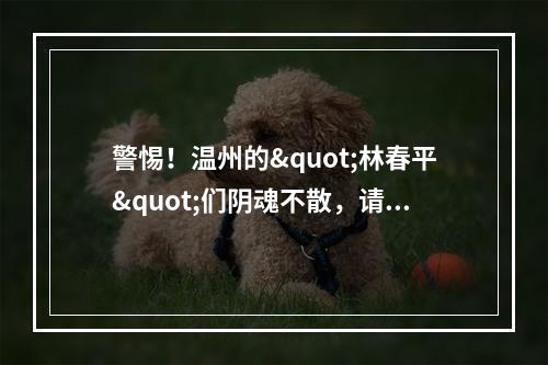 警惕！温州的"林春平"们阴魂不散，请你们收敛点！别搞砸了