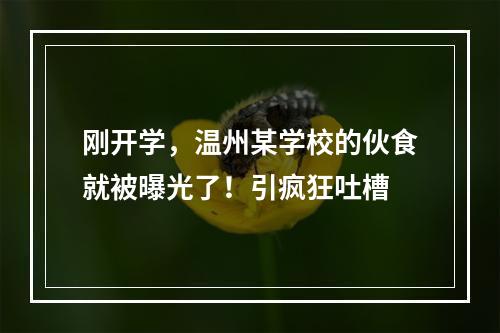 刚开学，温州某学校的伙食就被曝光了！引疯狂吐槽