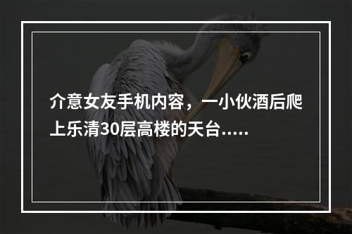 介意女友手机内容，一小伙酒后爬上乐清30层高楼的天台......