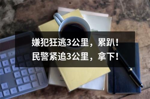 嫌犯狂逃3公里，累趴！民警紧追3公里，拿下！