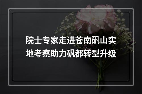 院士专家走进苍南矾山实地考察助力矾都转型升级