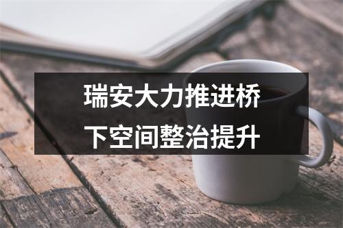 瑞安大力推进桥下空间整治提升