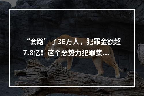 “套路”了36万人，犯罪金额超7.8亿！这个恶势力犯罪集团终于一锅端