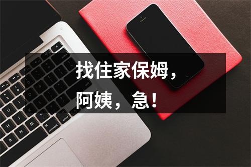 找住家保姆，阿姨，急！