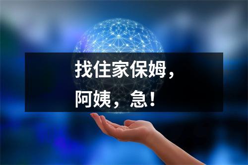 找住家保姆，阿姨，急！