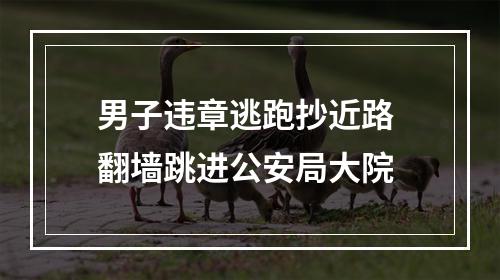 男子违章逃跑抄近路 翻墙跳进公安局大院