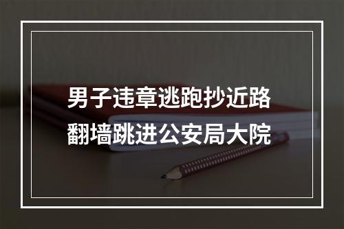男子违章逃跑抄近路 翻墙跳进公安局大院