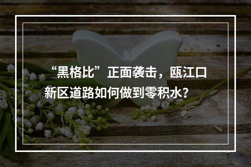 “黑格比”正面袭击，瓯江口新区道路如何做到零积水？