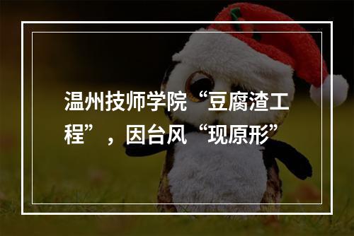 温州技师学院“豆腐渣工程”，因台风“现原形”
