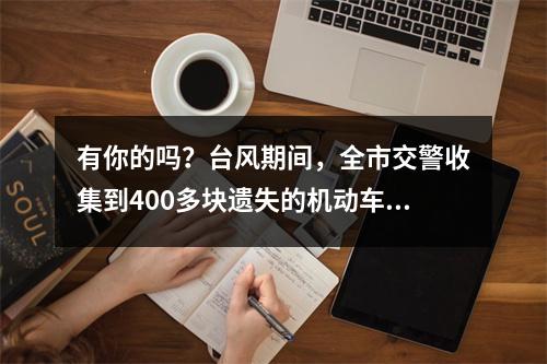 有你的吗？台风期间，全市交警收集到400多块遗失的机动车号牌