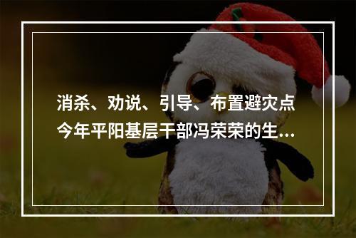 消杀、劝说、引导、布置避灾点 今年平阳基层干部冯荣荣的生日愿望是“抗台平安”