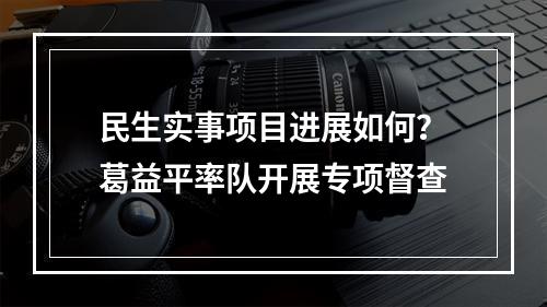 民生实事项目进展如何？葛益平率队开展专项督查