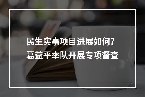 民生实事项目进展如何？葛益平率队开展专项督查