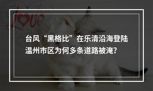 台风“黑格比”在乐清沿海登陆温州市区为何多条道路被淹？
