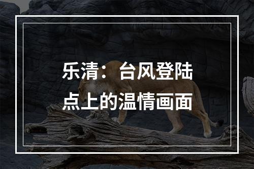 乐清：台风登陆点上的温情画面