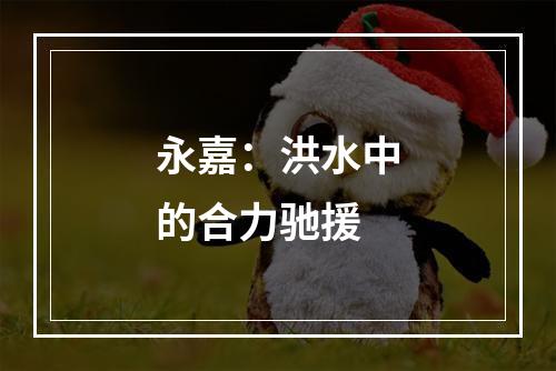 永嘉：洪水中的合力驰援