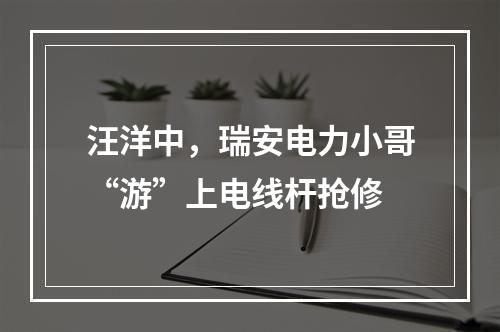 汪洋中，瑞安电力小哥“游”上电线杆抢修