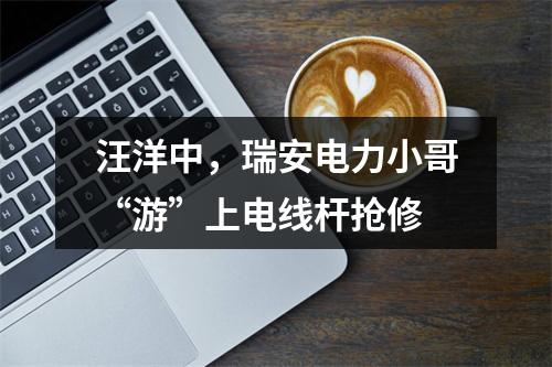 汪洋中，瑞安电力小哥“游”上电线杆抢修