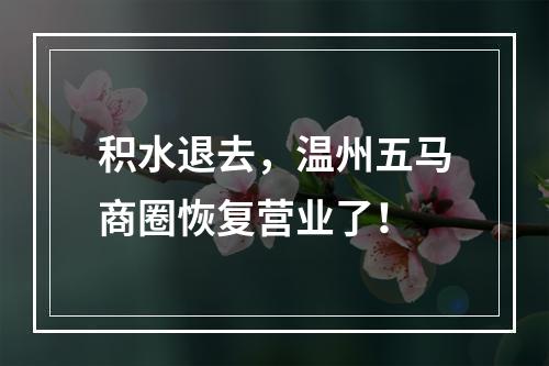 积水退去，温州五马商圈恢复营业了！