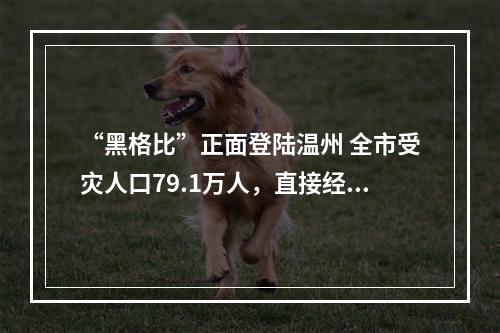 “黑格比”正面登陆温州 全市受灾人口79.1万人，直接经济损失28.58亿元