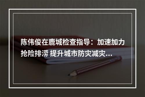 陈伟俊在鹿城检查指导：加速加力抢险排涝 提升城市防灾减灾能力