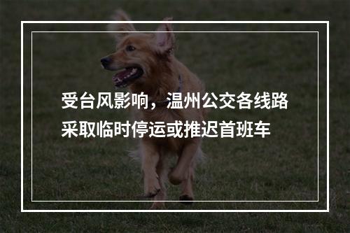 受台风影响，温州公交各线路采取临时停运或推迟首班车
