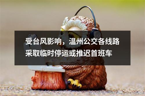 受台风影响，温州公交各线路采取临时停运或推迟首班车