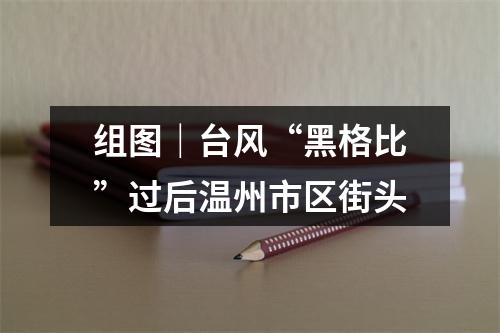 组图｜台风“黑格比”过后温州市区街头