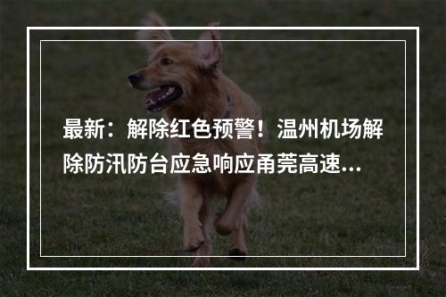 最新：解除红色预警！温州机场解除防汛防台应急响应甬莞高速恢复通行