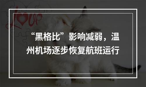 “黑格比”影响减弱，温州机场逐步恢复航班运行