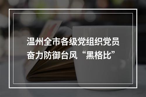 温州全市各级党组织党员奋力防御台风“黑格比”