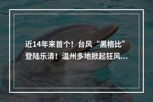 近14年来首个！台风“黑格比”登陆乐清！温州多地掀起狂风巨浪…