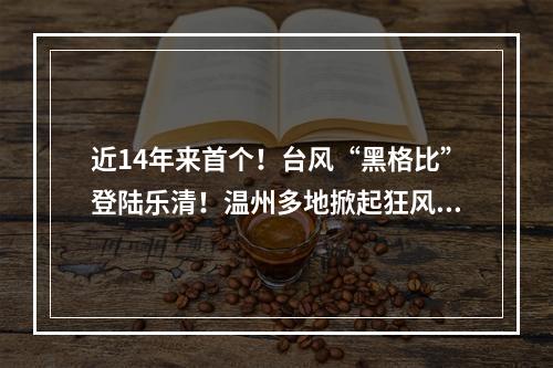 近14年来首个！台风“黑格比”登陆乐清！温州多地掀起狂风巨浪…
