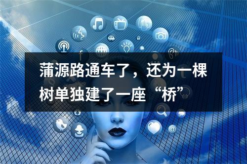 蒲源路通车了，还为一棵树单独建了一座“桥”