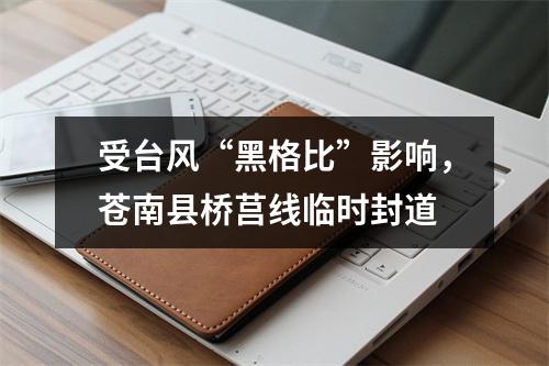 受台风“黑格比”影响，苍南县桥莒线临时封道