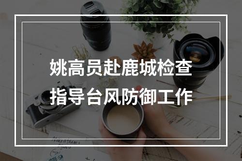 姚高员赴鹿城检查指导台风防御工作