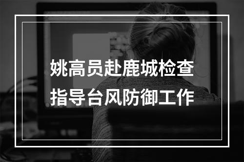 姚高员赴鹿城检查指导台风防御工作