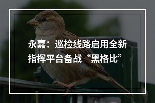 永嘉：巡检线路启用全新指挥平台备战“黑格比”