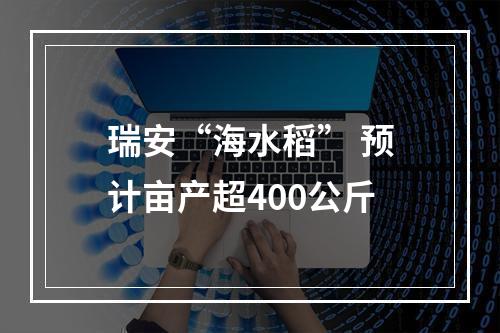 瑞安“海水稻” 预计亩产超400公斤