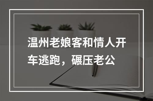 温州老娘客和情人开车逃跑，碾压老公
