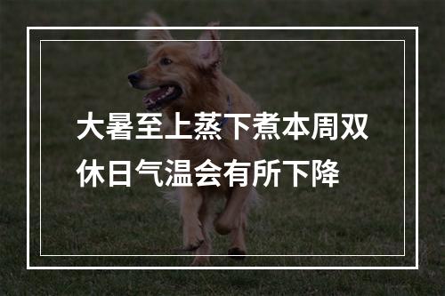 大暑至上蒸下煮本周双休日气温会有所下降