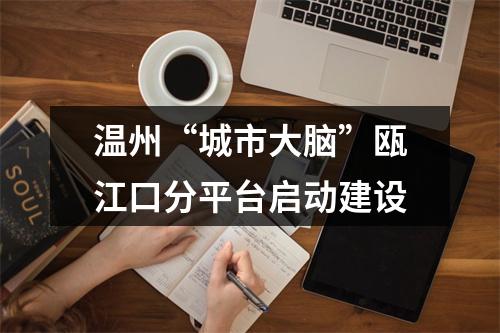 温州“城市大脑”瓯江口分平台启动建设