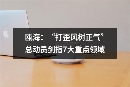 瓯海：“打歪风树正气”总动员剑指7大重点领域