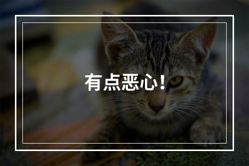 有点恶心！