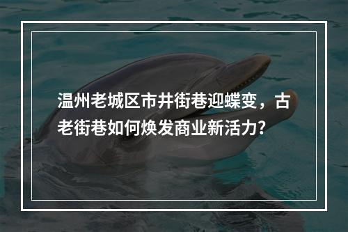 温州老城区市井街巷迎蝶变，古老街巷如何焕发商业新活力？