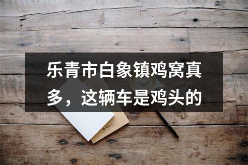 乐青市白象镇鸡窝真多，这辆车是鸡头的