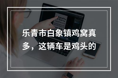 乐青市白象镇鸡窝真多，这辆车是鸡头的