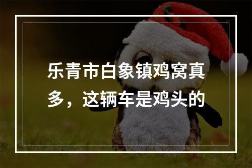乐青市白象镇鸡窝真多，这辆车是鸡头的